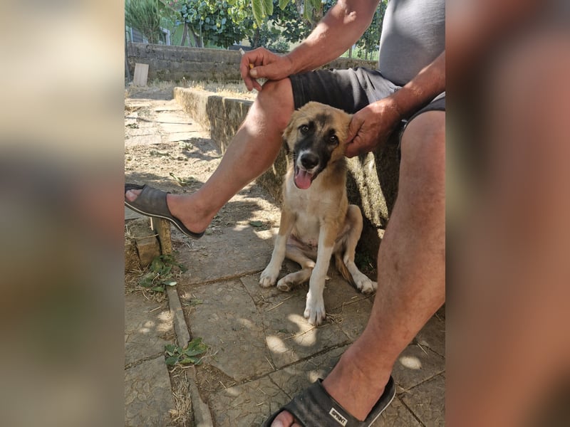 Choco sucht seine Familie