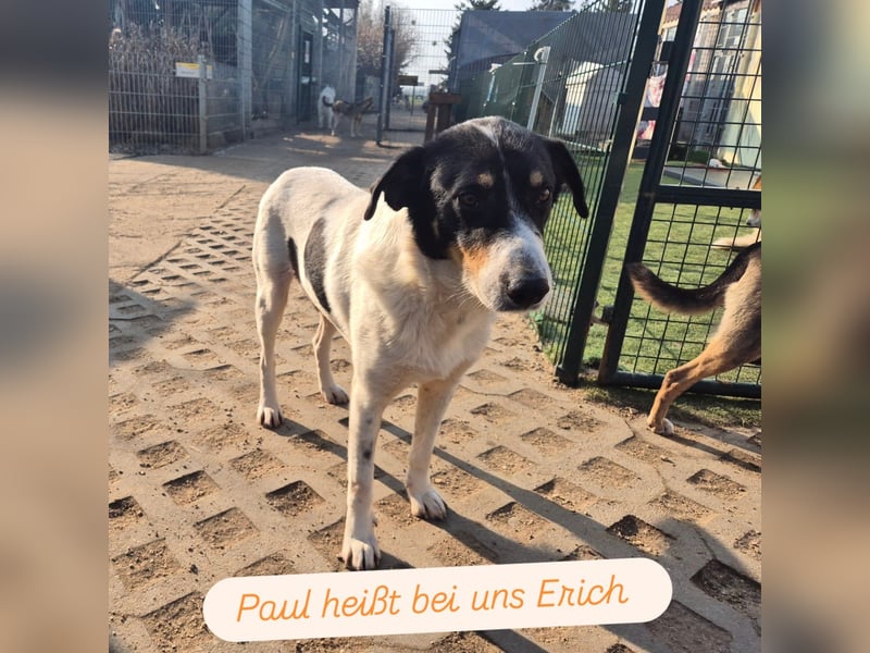 Der schüchterne Paul