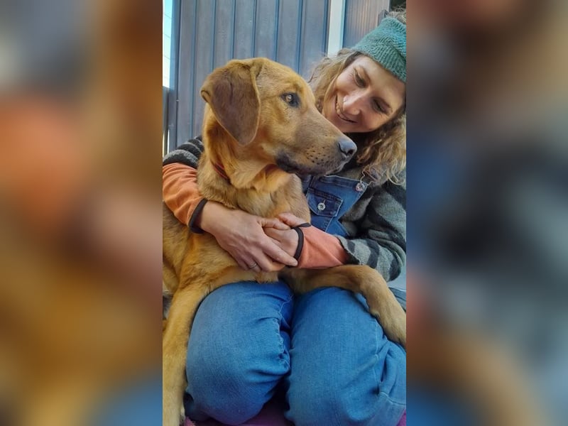 Terry ist aufgeschlossen und neugierig, auf der Suche nach einer tollen Familie!