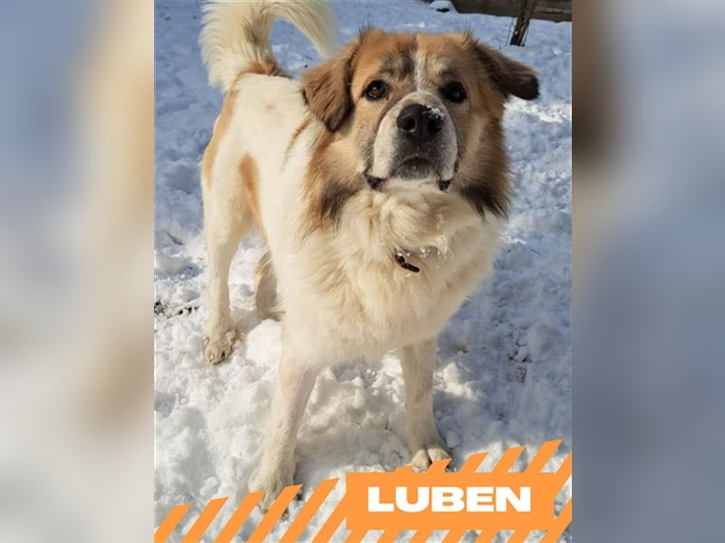 Luben