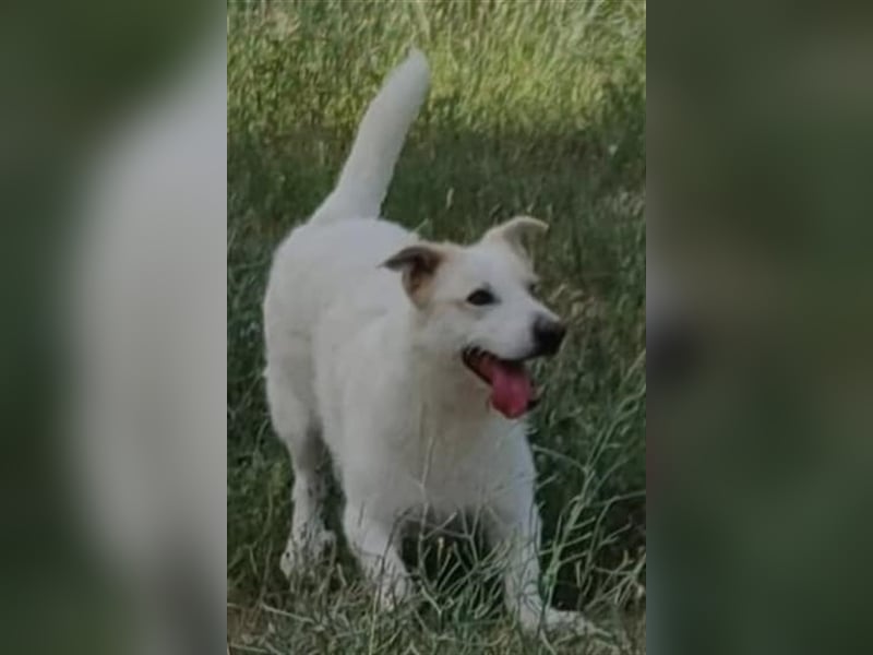 ❤️FÜJUR❤️ befindet sich derzeit noch in Spanien