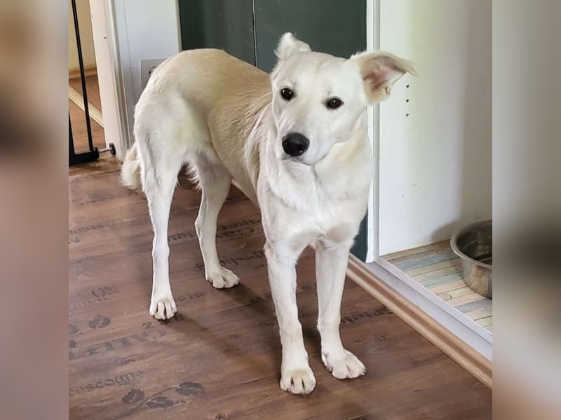 Yuki