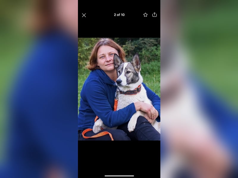 Stephan sucht ein Zuhause (1,5)