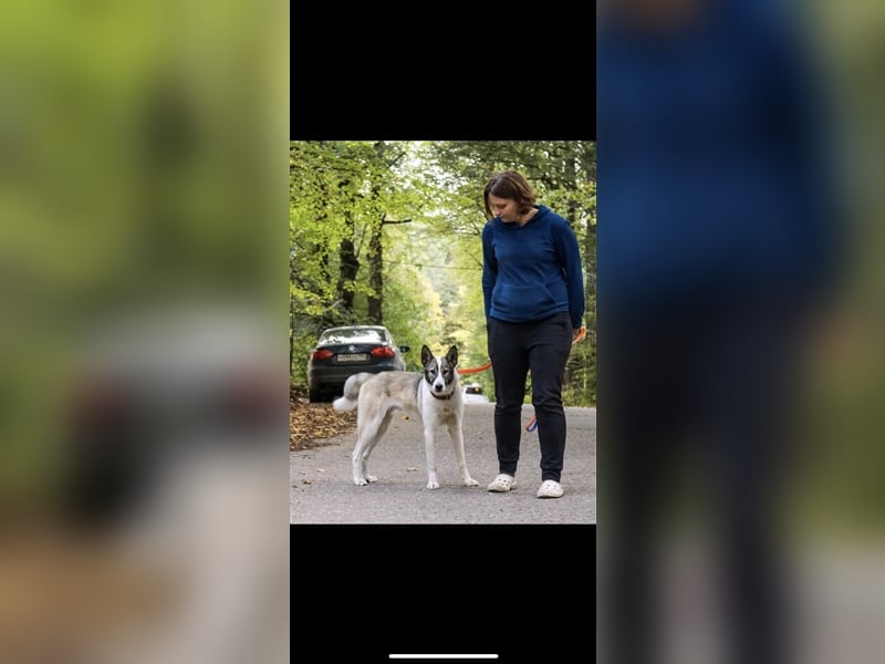 Stephan sucht ein Zuhause (1,5)