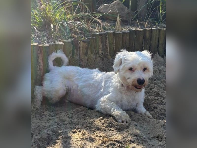 Arlo sucht nach aktiven und unternehmungslustigen Menschen