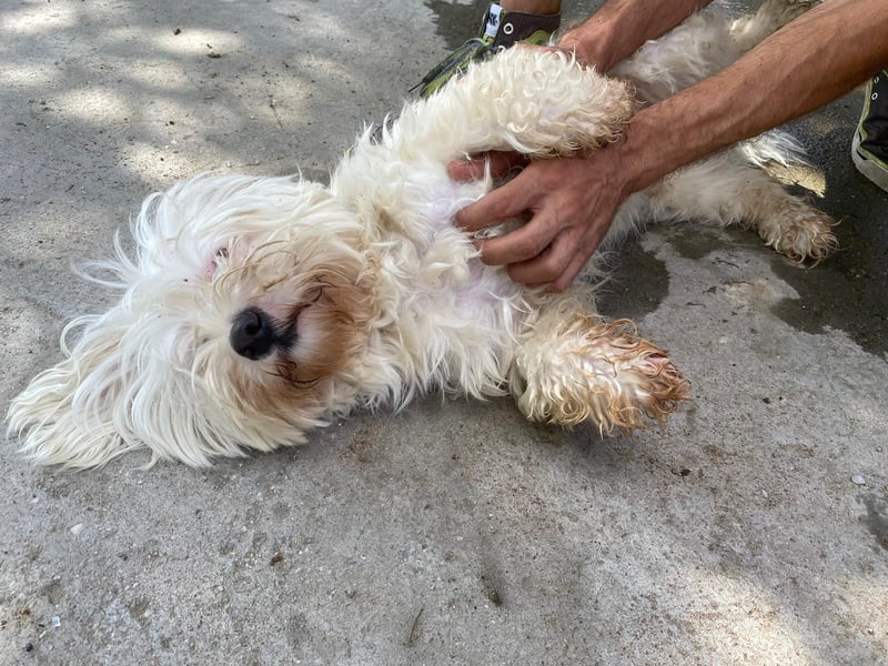 Arlo sucht nach aktiven und unternehmungslustigen Menschen