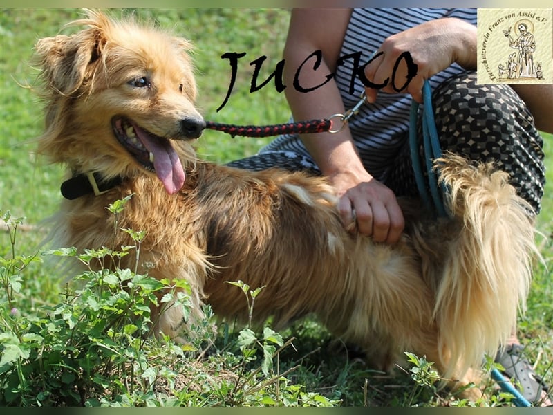 Jucko – der kleine Grummler