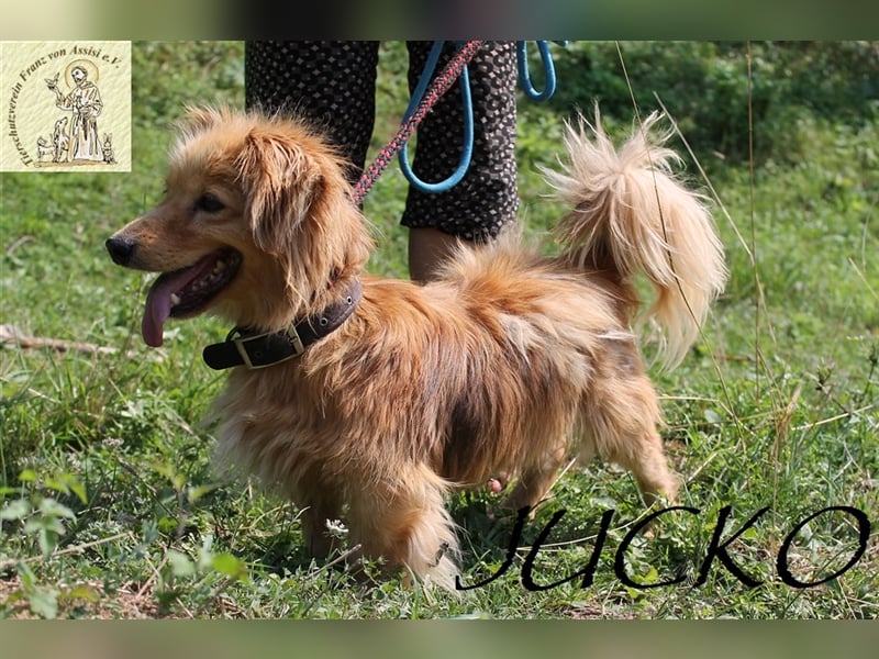 Jucko – der kleine Grummler