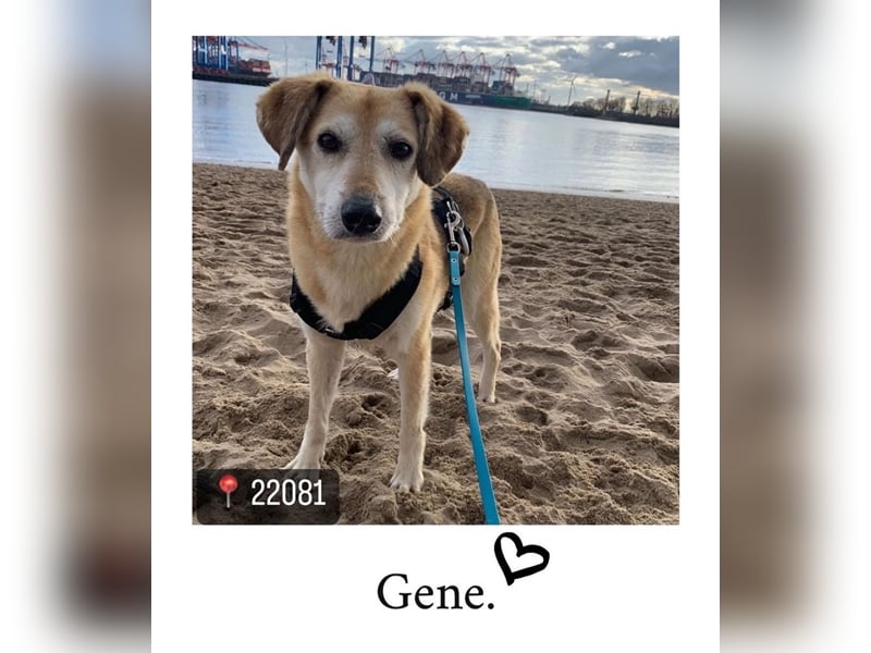 Gene