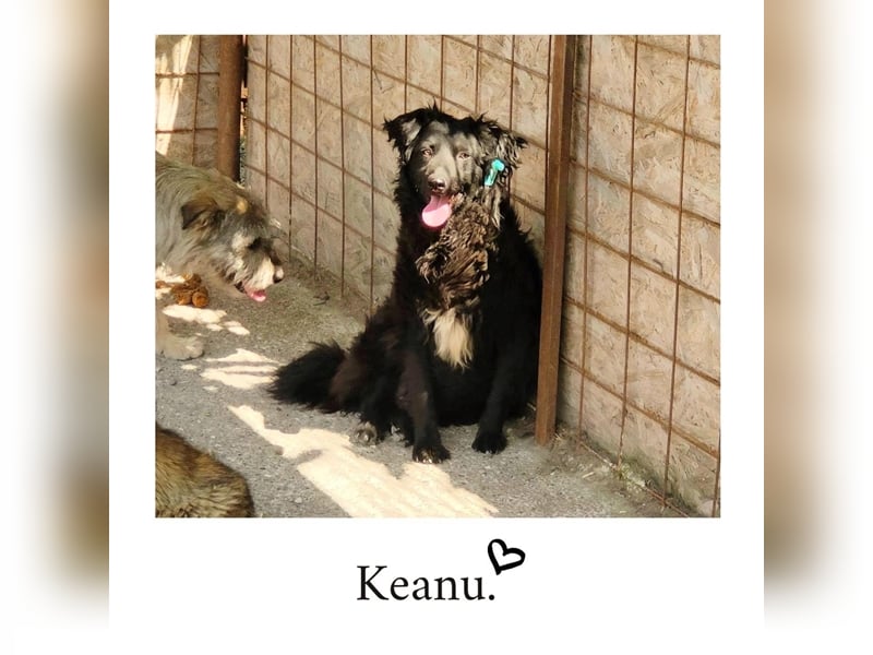 Keanu