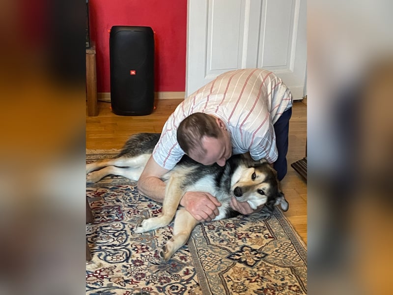 Der freundliche Rüde Goofy sucht eine liebevolle Familie