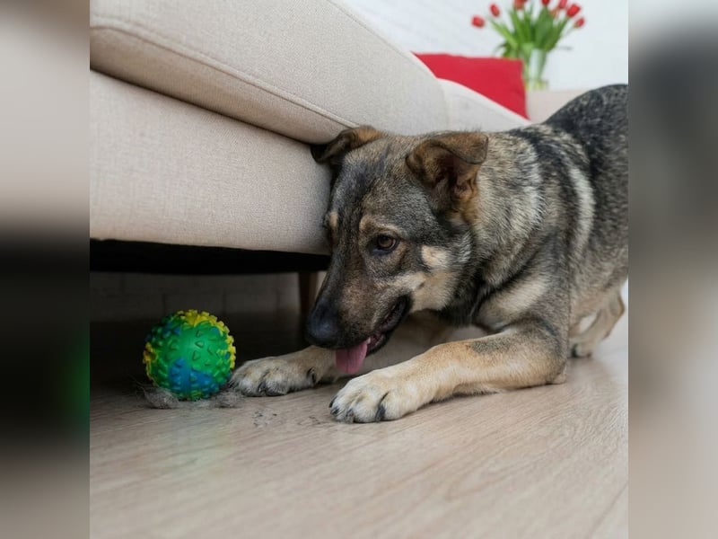 Liebevolle Olivka sucht ihren platz