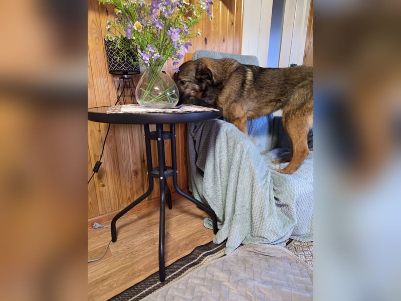 Ein Herz für Vasilisa geben Sie ihr eine Chance auf ein glückliches Leben!