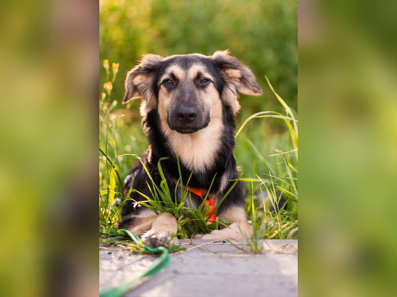 Der mutige Philip sucht seine Menschen