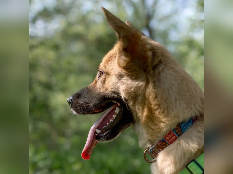 Archie möchte das Leben leben