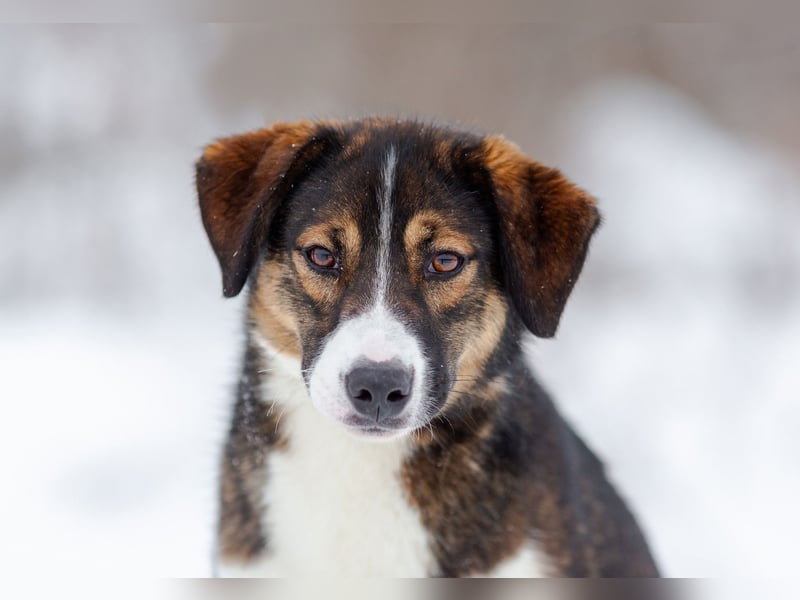 Havier sucht ein aktives Leben...