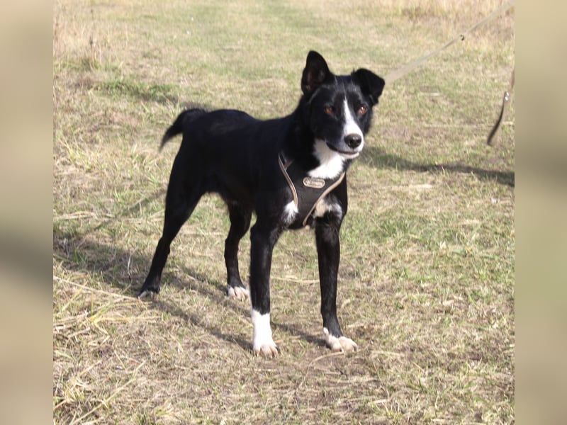 Mike sucht Traumzuhause