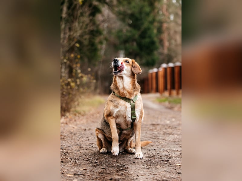 Adele – sanft, stark & voller Liebe