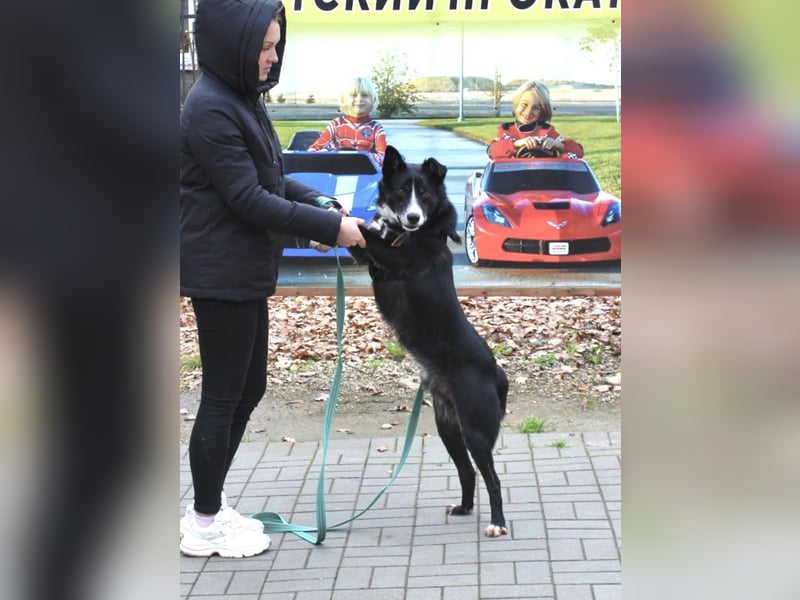 Mike sucht Traumzuhause