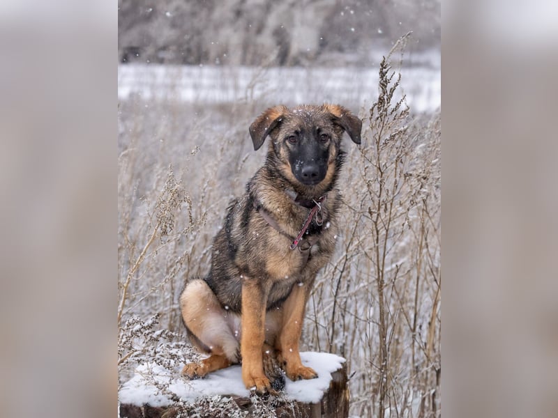 Ein Herz für Vasilisa geben Sie ihr eine Chance auf ein glückliches Leben!