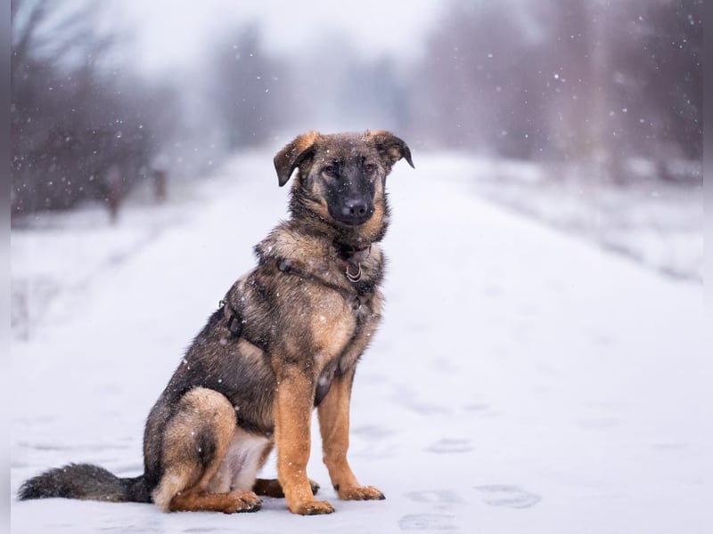 Ein Herz für Vasilisa geben Sie ihr eine Chance auf ein glückliches Leben!