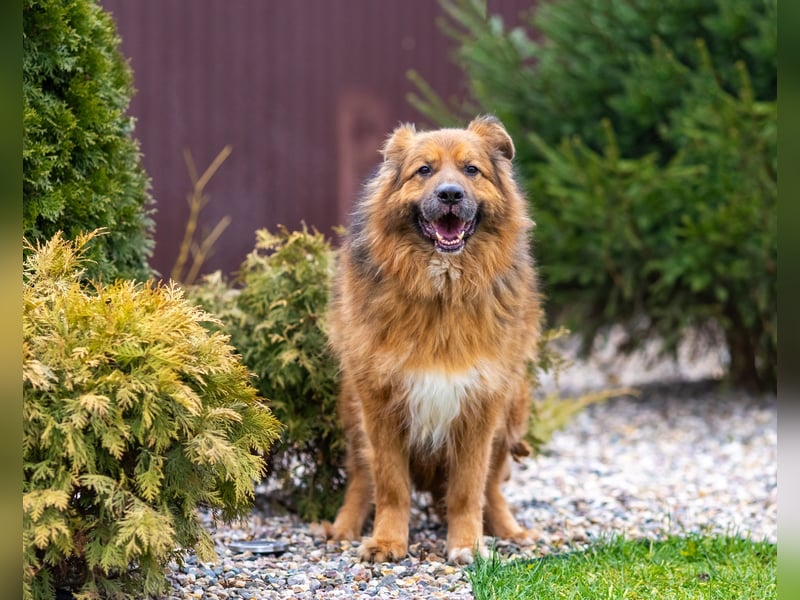 Bekommt Rakhat eine 2.Chance?!