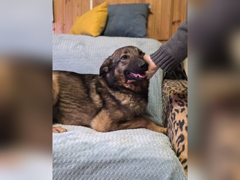 Ein Herz für Vasilisa geben Sie ihr eine Chance auf ein glückliches Leben!