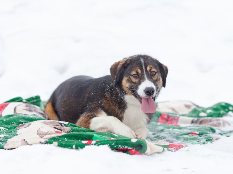 Havier sucht ein aktives Leben...