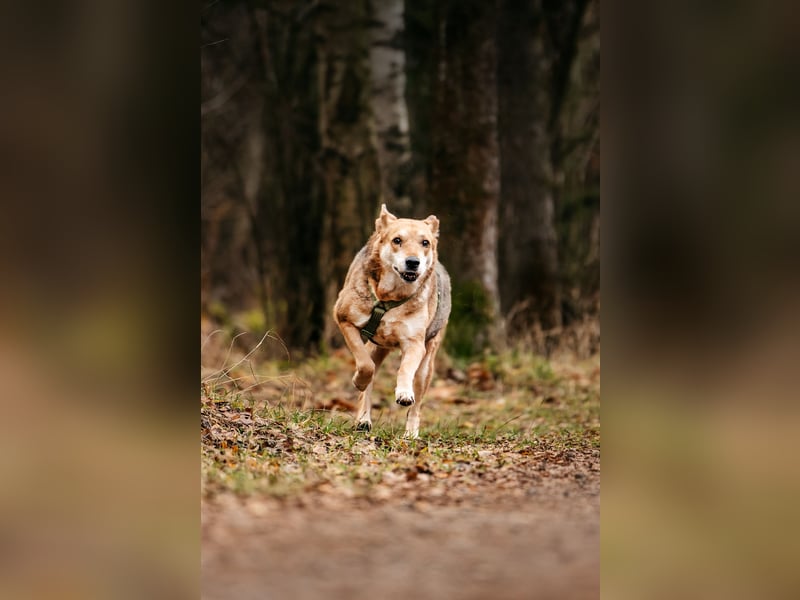 Adele – sanft, stark & voller Liebe