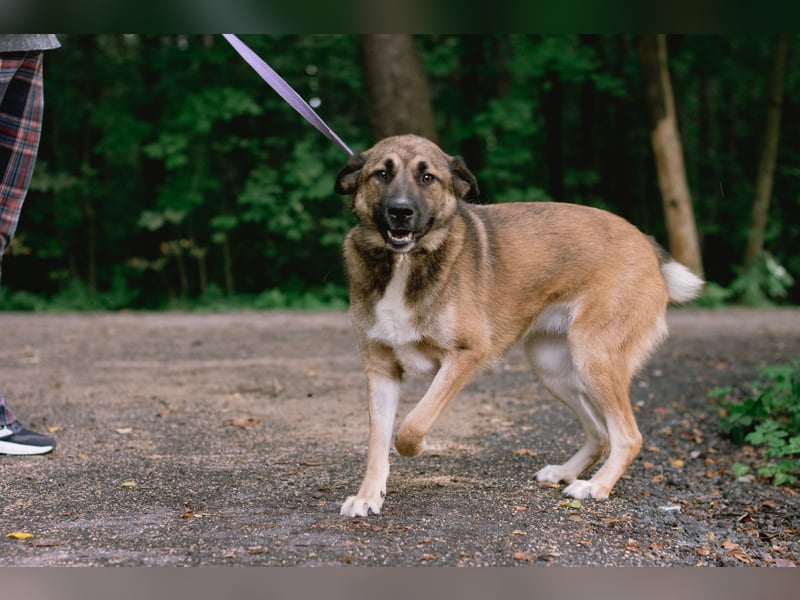 Aksi möchte ihre ganze Liebe zeigen