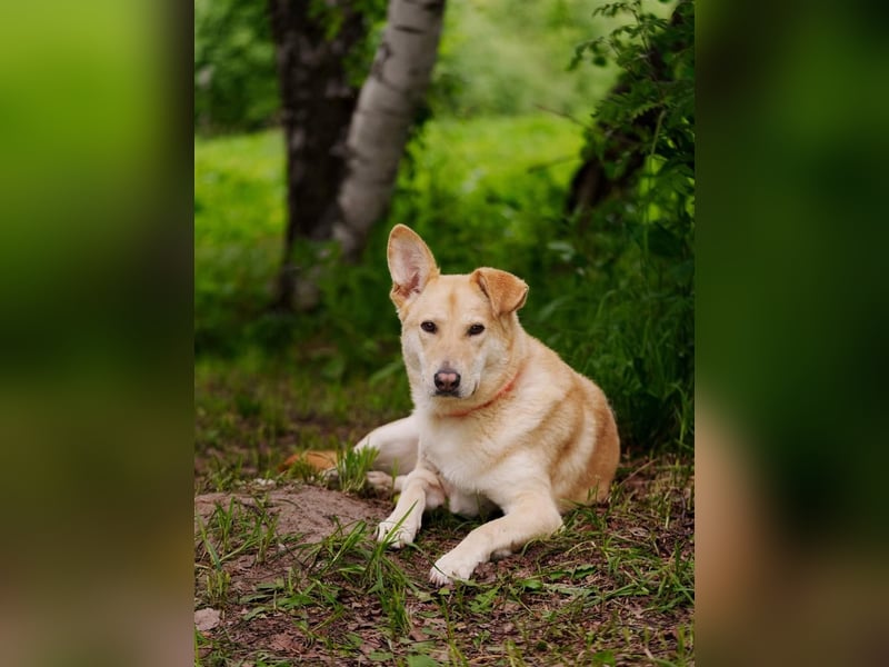 Ausgewogene Mona sucht Familie