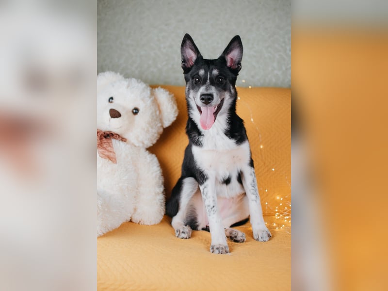 Die kleine Giselle sucht ein Zuhause