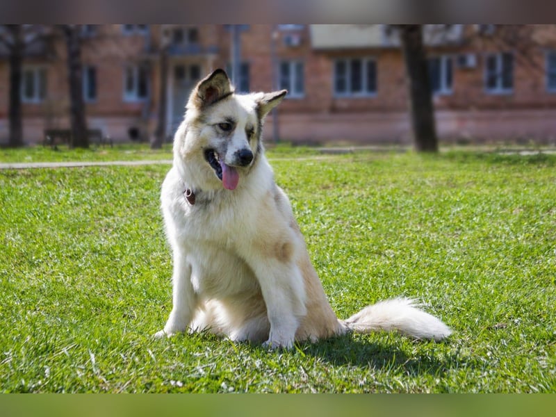 Sheila will liebe und Zuneigung