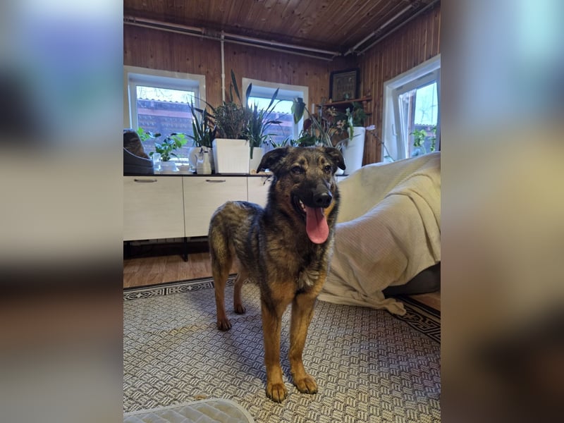 Ein Herz für Vasilisa geben Sie ihr eine Chance auf ein glückliches Leben!