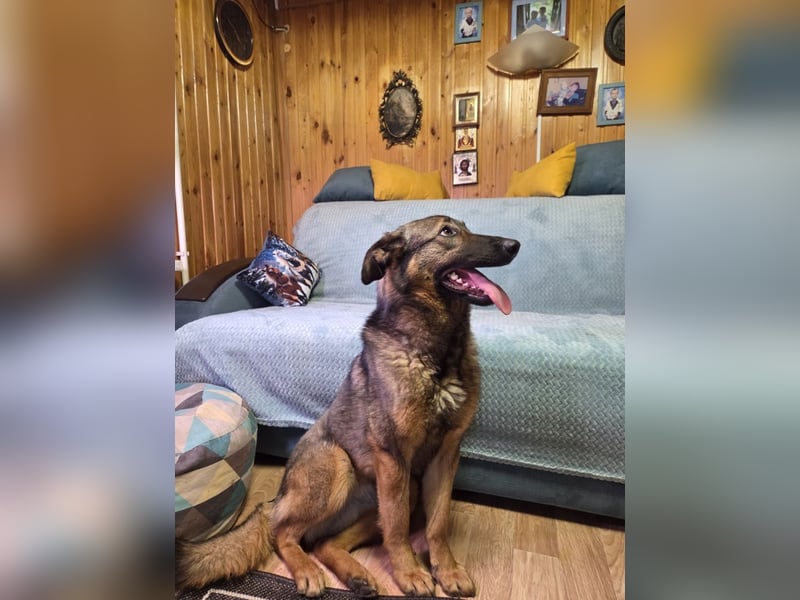 Ein Herz für Vasilisa geben Sie ihr eine Chance auf ein glückliches Leben!