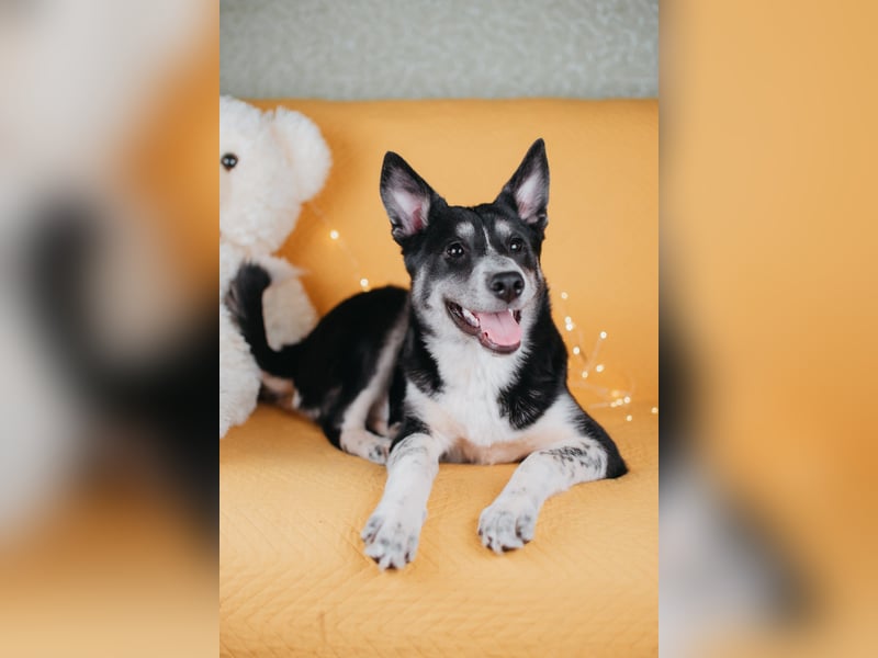 Die kleine Giselle sucht ein Zuhause