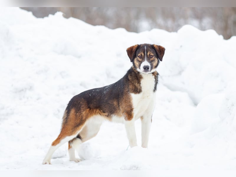 Havier sucht ein aktives Leben...