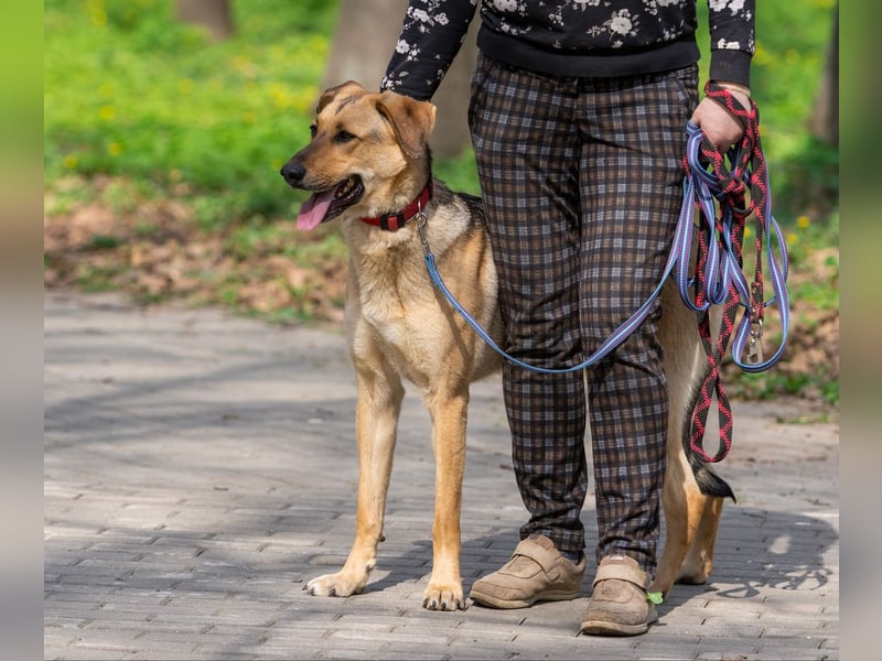 Tuchka - die sanfte Seele mit stolzem Auftreten sucht Ihr Zuhause!