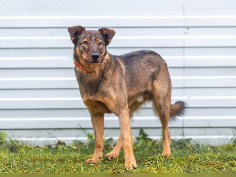 Marquise sucht liebevolle Menschen