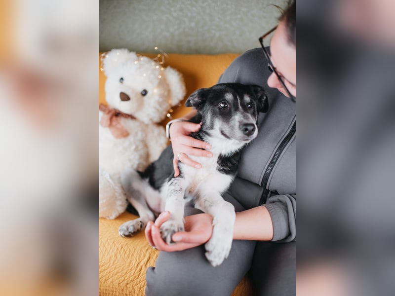 Die kleine Giselle sucht ein Zuhause