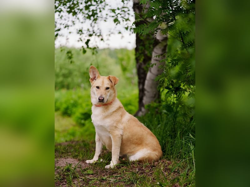 Ausgewogene Mona sucht Familie
