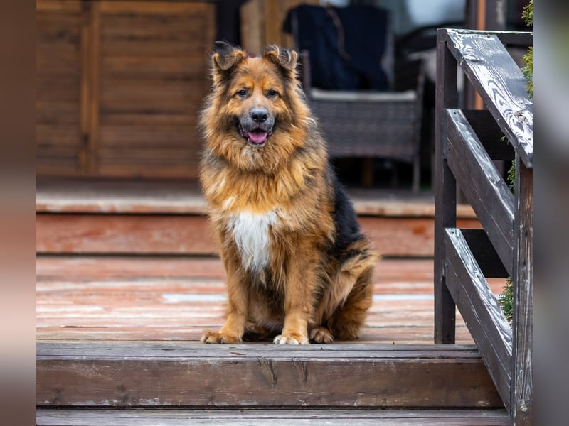 Bekommt Rakhat eine 2.Chance?!