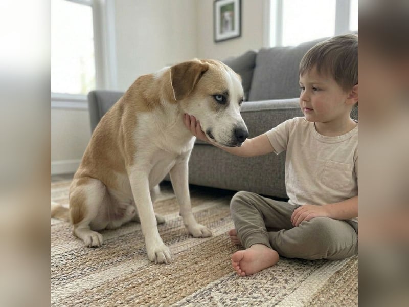 Jessie sucht ein aktives Leben