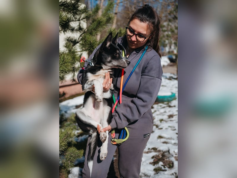 Die kleine Giselle sucht ein Zuhause