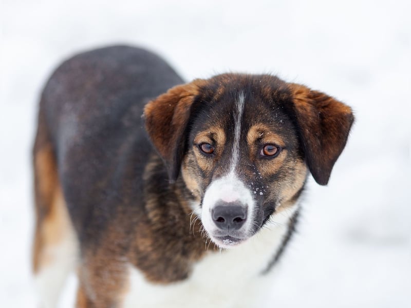 Havier sucht ein aktives Leben...