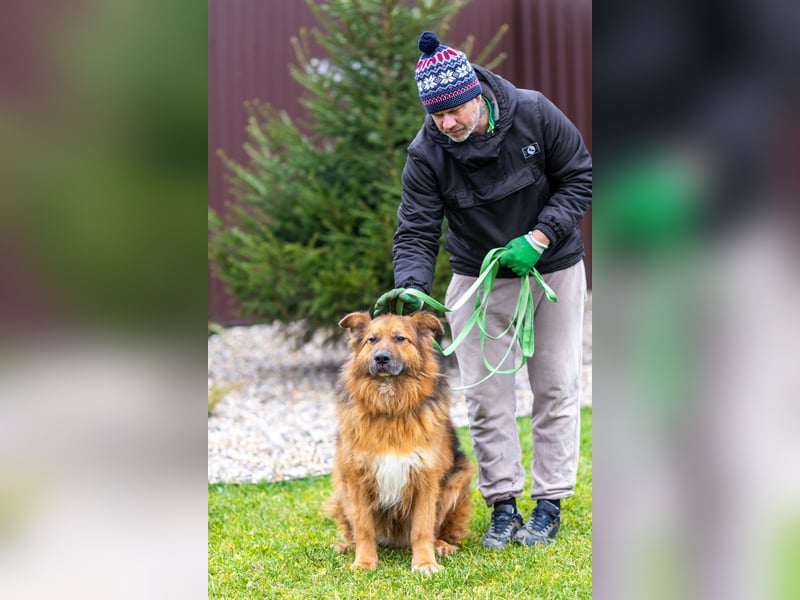 Bekommt Rakhat eine 2.Chance?!