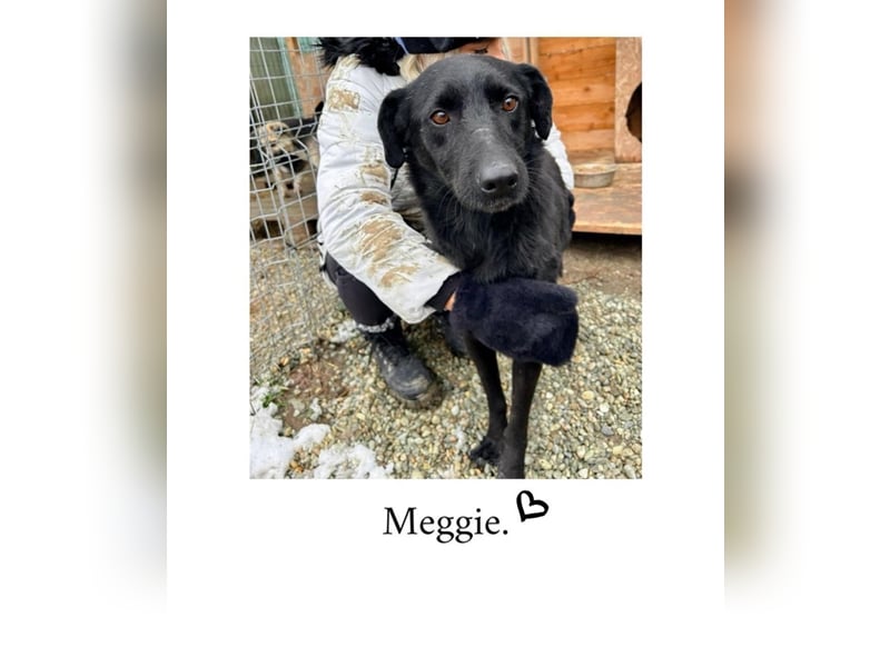 Meggie