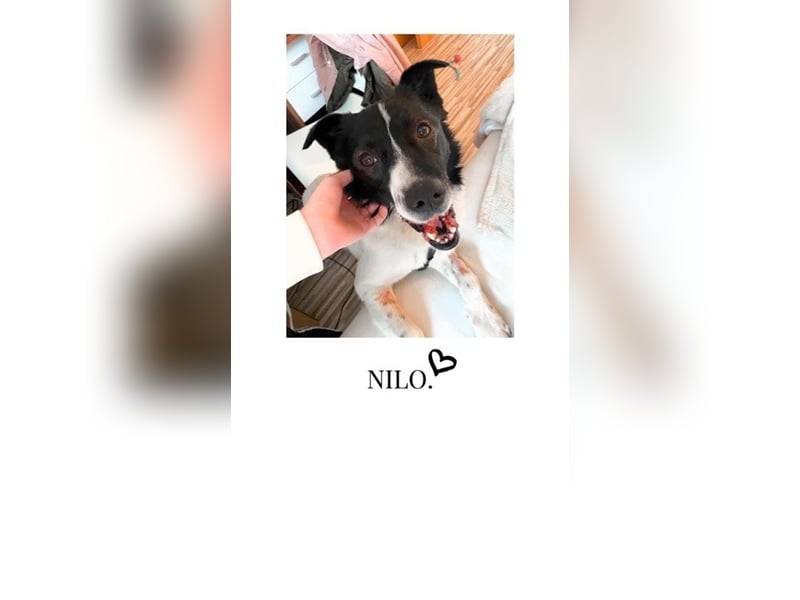 Nilo
