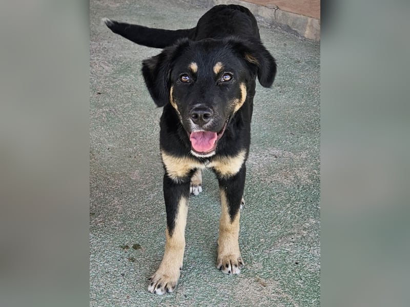 Tina: freut sich auf Besuch in Bochum