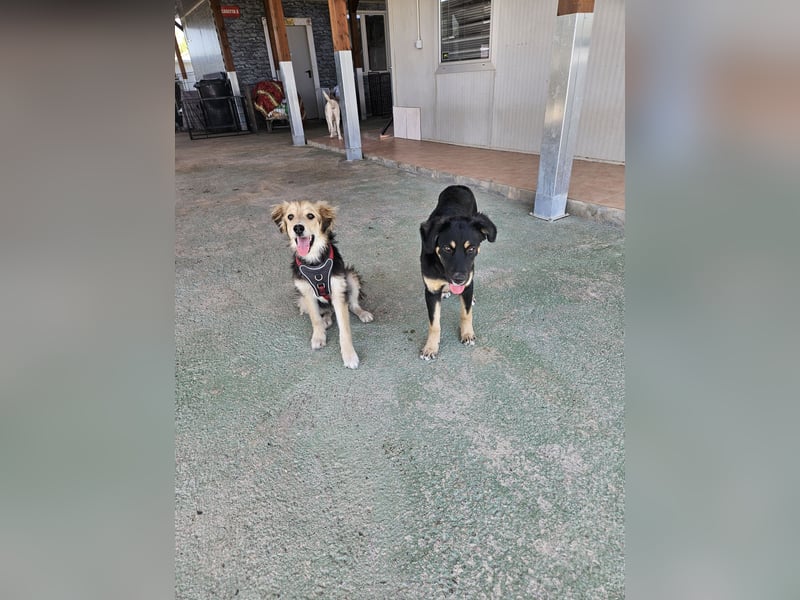 Tina: freut sich auf Besuch in Bochum